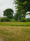 Lammerts Wiesen(02) -- <p>Impression der Landschaft "Lammerts Wiesen" an der Malmkestraße.</p>