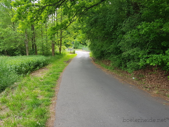 Malmkestraße in Richtung Malmkebach