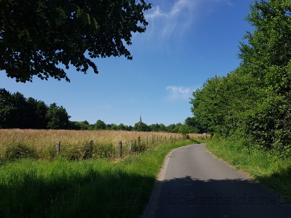 Lammerts Wiesen an der Malmkestraße -1-