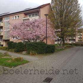 Boelerheide (Hagen) Ortsansichten aus 2026